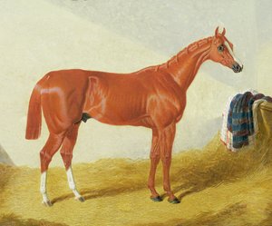 Elis door John Frederick Herring Senior