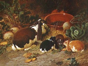 Fantasiekonijnen, een Moeder met haar Jong door John Frederick Herring Senior