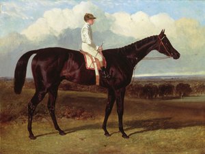 Jonathan Wild een donkerbruine renpaard, bij Goodwood, T.Ryder op, 1846 door John Frederick Herring Senior