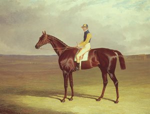 Mr. M. Stanleys Kruk op Newmarket Heath, 1833 door John Frederick Herring Senior