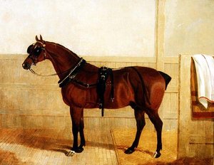 Prijs Shire Paard in Harnas door John Frederick Herring Senior