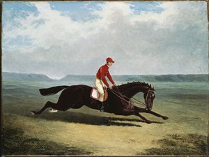 De baron met Bumpy Up, in Newmarket door John Frederick Herring Senior