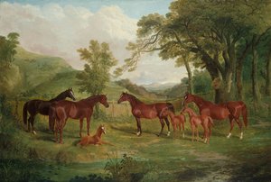 De Streatlam Stoeterij, Merries en Veulens, 1836