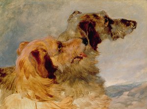 Twee hertenhonden, 1851 door John Frederick Herring Senior