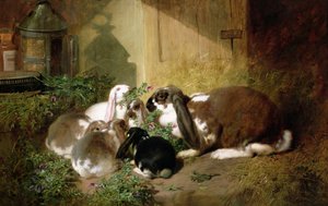 Onbekend Beeld door John Frederick Herring Senior