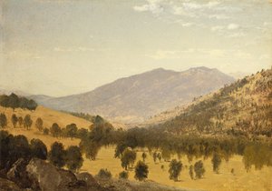 Bergen Park, Colorado door John Frederick Kensett