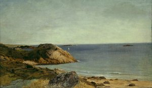 Rotsachtige kust