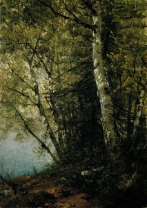 Studie van beuken, 1872 door John Frederick Kensett