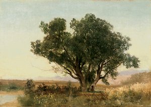 De Front Range, Colorado door John Frederick Kensett
