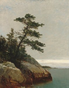 De oude den, Darien, Connecticut door John Frederick Kensett