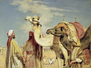 Groeten in de woestijn, Egypte