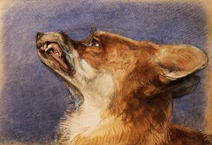 Kop van een vos door John Frederick Lewis