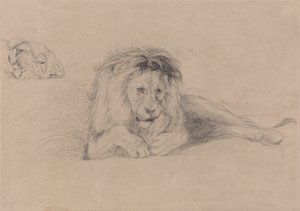 Studie van een leeuw en studie van een leeuwinnenhoofd door John Frederick Lewis