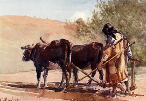 Ploegen op de Olijfberg, 1902 door John Fulleylove