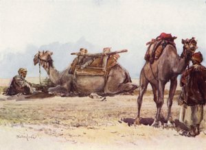 Studie van kamelen en begeleiders door John Fulleylove