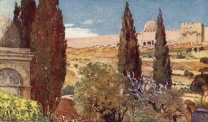 De cipressen van de tuin van Getsemane door John Fulleylove