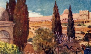 De Cipressen van de Tuin van Getsemane, 1902