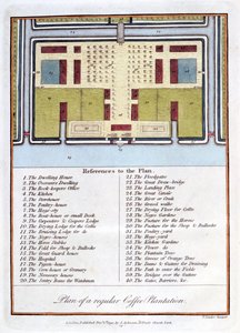 Plan van een Reguliere Koffieplantage