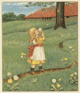 Paardenbloemzaden