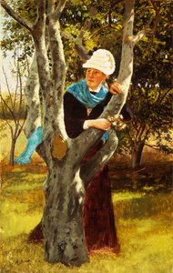 Tussen de bomen
