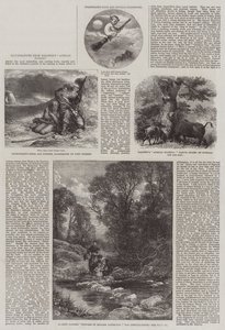 Illustraties uit Baldwin