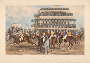 Een van een set van vier: De Liverpool Grote Nationale Steeple-Chase door John Harris