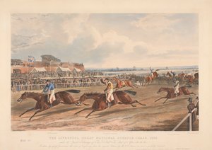Een van een set van vier: De Liverpool Great National Steeple-Chase door John Harris