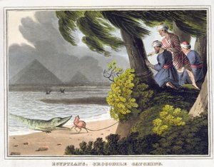 Egyptenaren vangen krokodillen