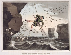 Vogelvangst van boven, gegraveerd door Matthew Dubourg, gepubliceerd door Edward Orme, 1813