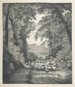 Plaat 4. Schapen die door een herder langs een pad worden gedreven. Nature Pictures. Een serie van dertig originele illustraties getekend op hout door J. H. Dell, en gegraveerd door R. Paterson