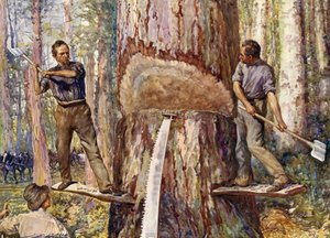 Houthakkers die hout kappen