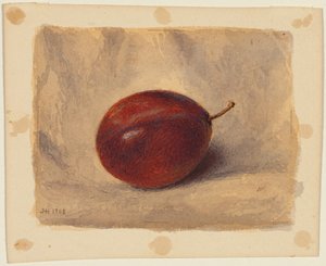 Pruim door John Henry Hill