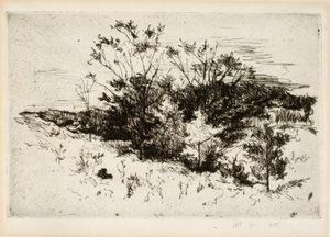 Landschap in de buurt van Cincinnati door John Henry Twachtman