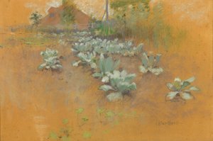 Tabaksveld, c.1895-1899