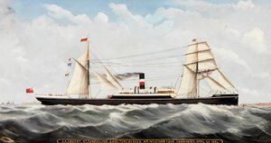S.S. Cogent