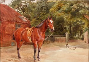 Stalhof met paard