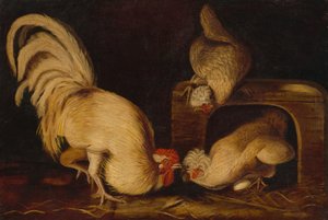 Boerderijkippen, ca. 1827 door John James Audubon