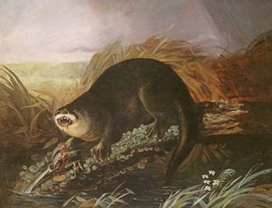 Otter gevangen in een val door John James Audubon