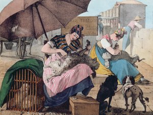 Hondentrimmers op de Pont-Neuf