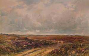 Stormachtige dag op een Surrey Common, 19e-20e eeuw, 1935 door John Jessop Hardwick