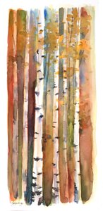 Berken in de herfst, 2013 door John Keeling