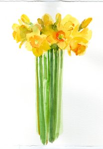 Narcissenbos, 2014