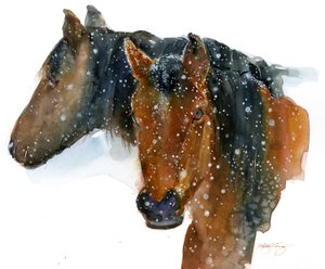 Paarden in de Winter