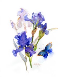 Iris met blauwe vlinder, 2016 door John Keeling