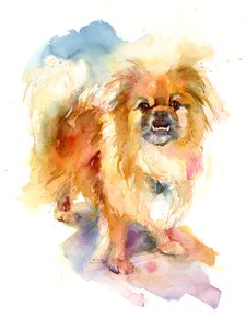 Tipper Portret