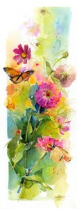 Zinnia