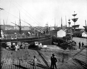 Haven van Auckland, Nieuw-Zeeland