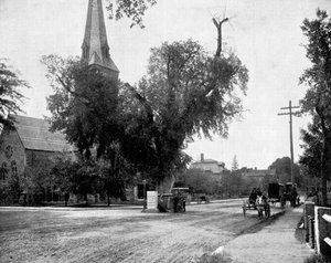 Washington Elm en gedenksteen, Cambridge, Massachusetts, VS door John L. Stoddard