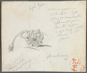 Aardbeienbloesem door John La Farge