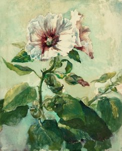 Studie van roze stokrozen in zonlicht, uit de natuur door John La Farge